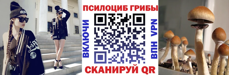 магазин наркотиков Орск Галлюциногенные грибы Psilocybine cubensis